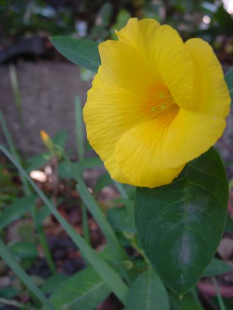 Dsc00130