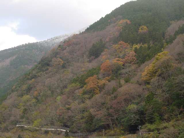 dsc00134