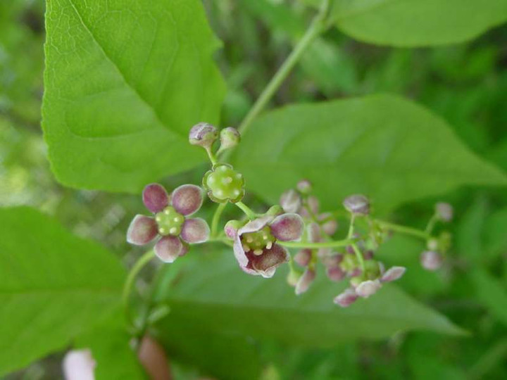 Dsc00134_2