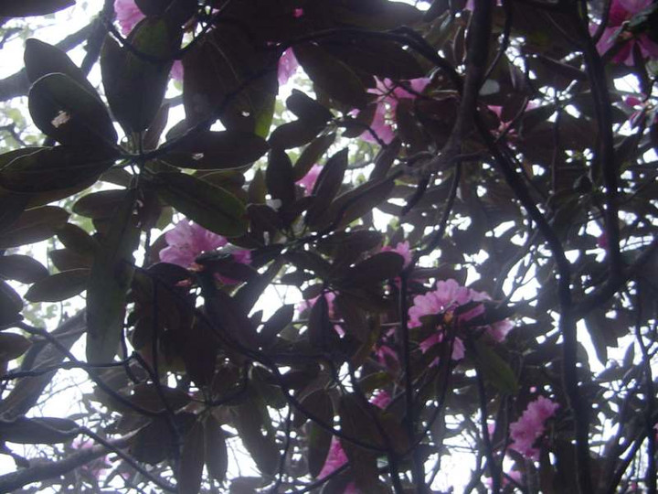 Dsc00145