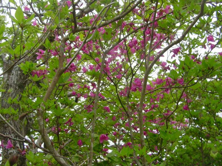 Dsc00146_3