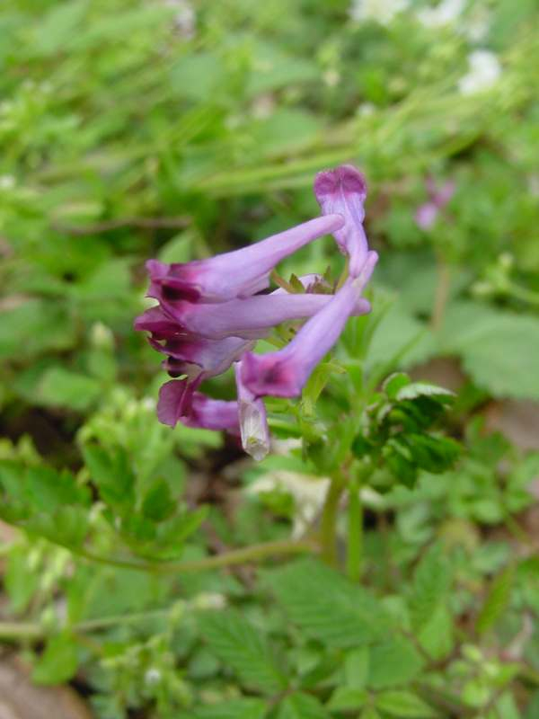 Dsc00147_2