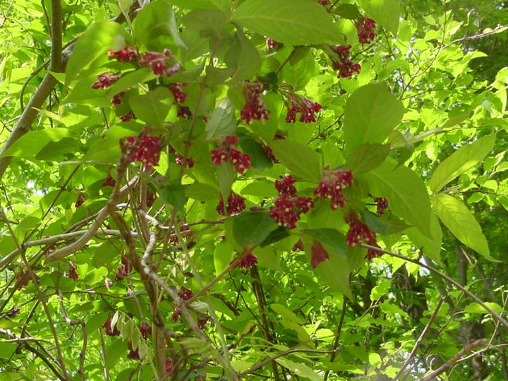 Dsc00147_3