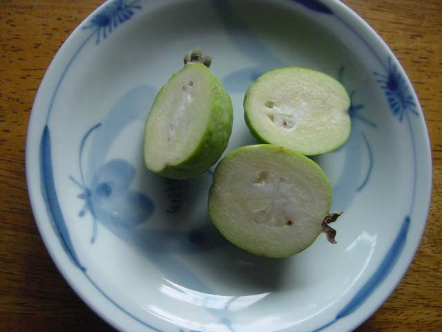 Dsc00150