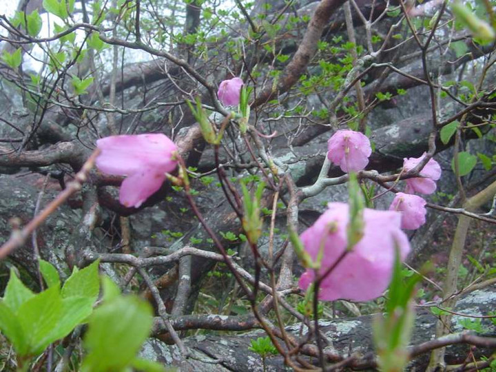 Dsc00151_1
