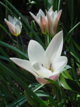 dsc00151a