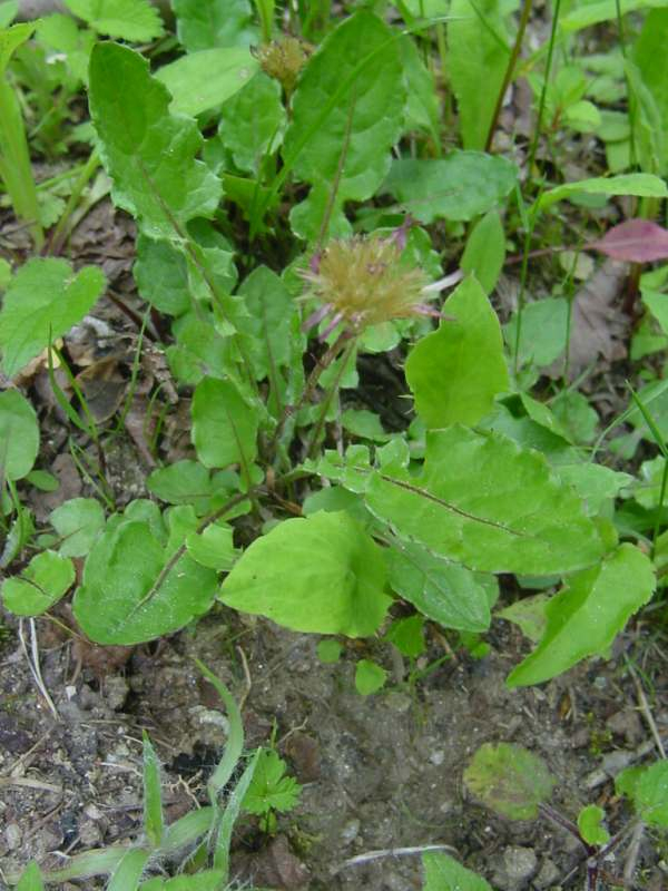 Dsc00157_1