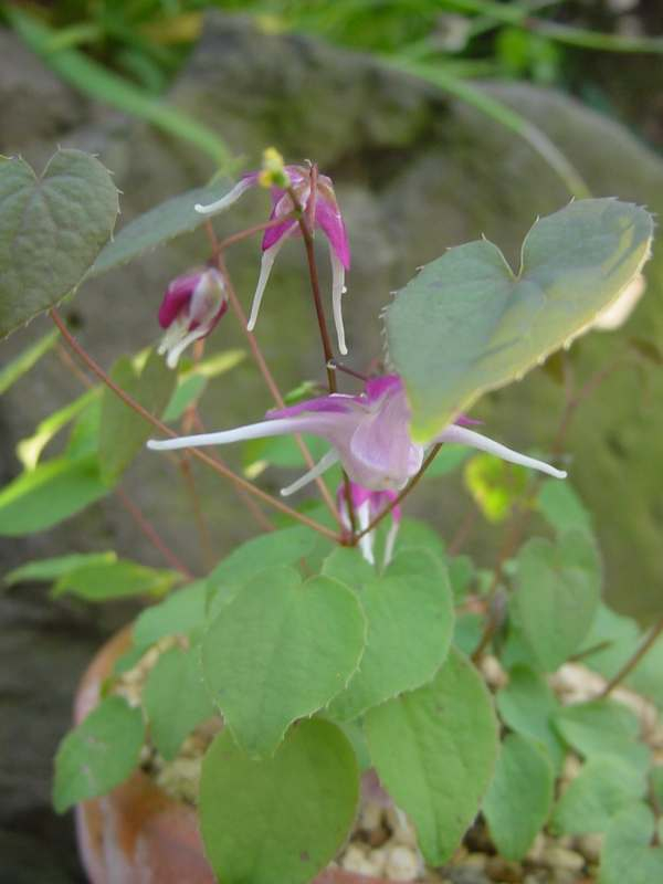 dsc00160