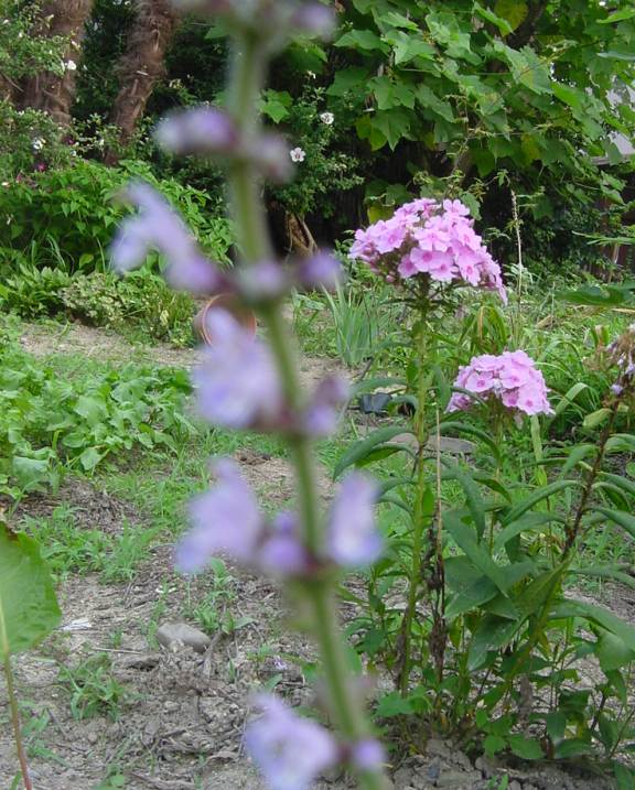 dsc00162