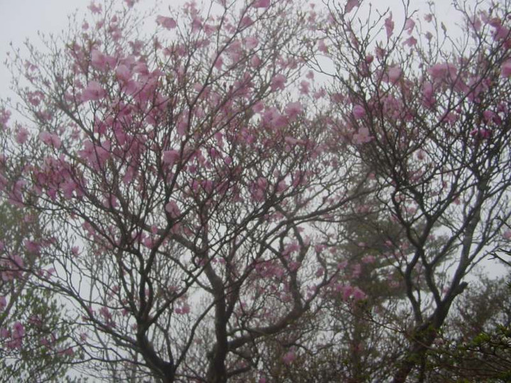 Dsc00164_2