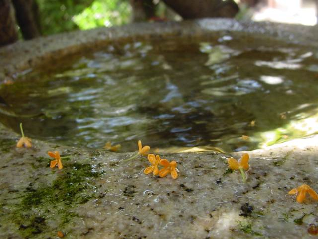 Dsc00165_1