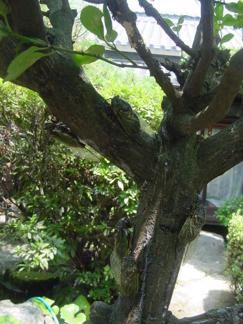 dsc00169