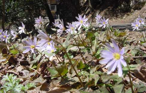 dsc001701