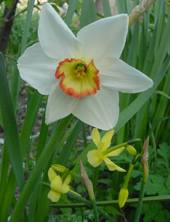 Dsc00176_3