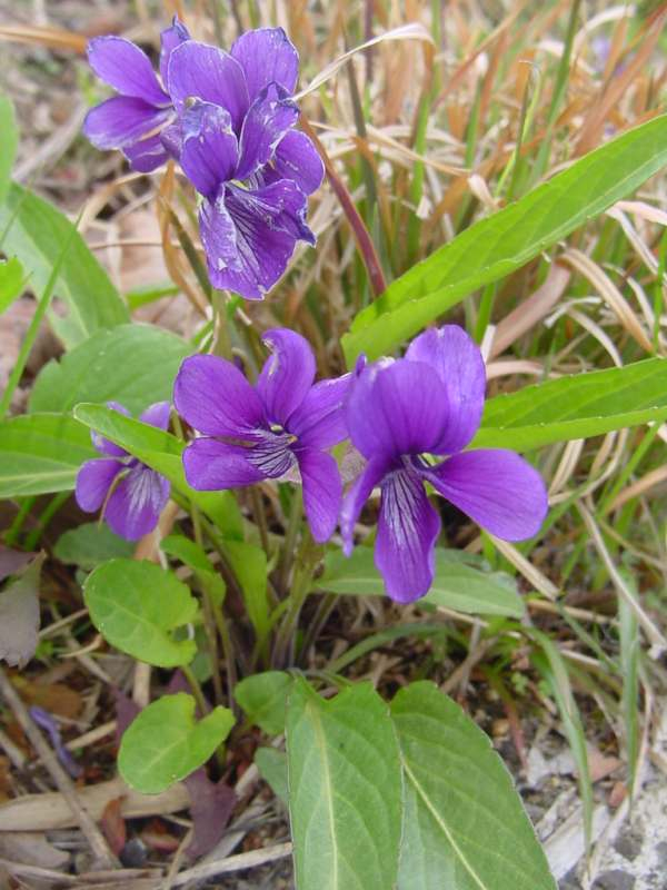 Dsc00183_2
