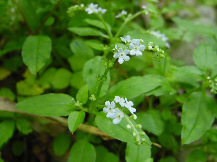 Dsc00186_3