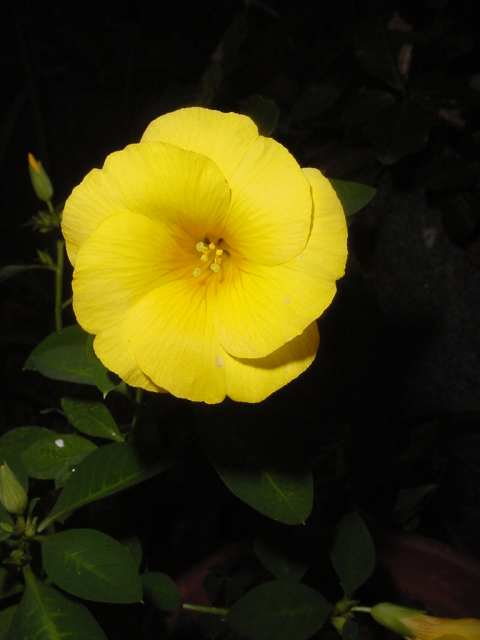 Dsc00187
