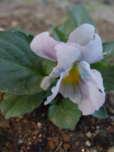 Dsc00190