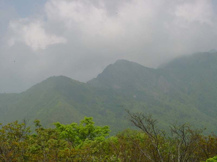 Dsc00195_3