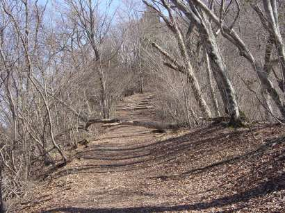 dsc00202