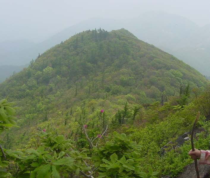 Dsc00204_1