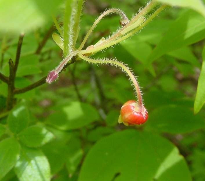 Dsc00207_2
