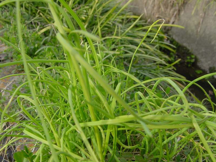 Dsc00210