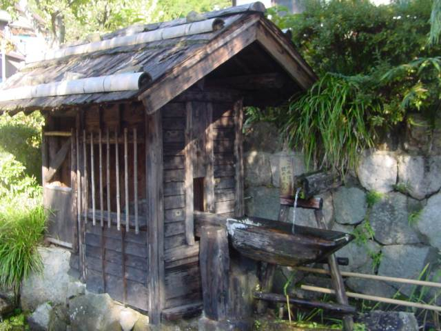 Dsc00217