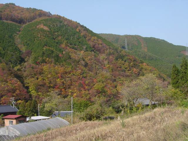 Dsc00244_1