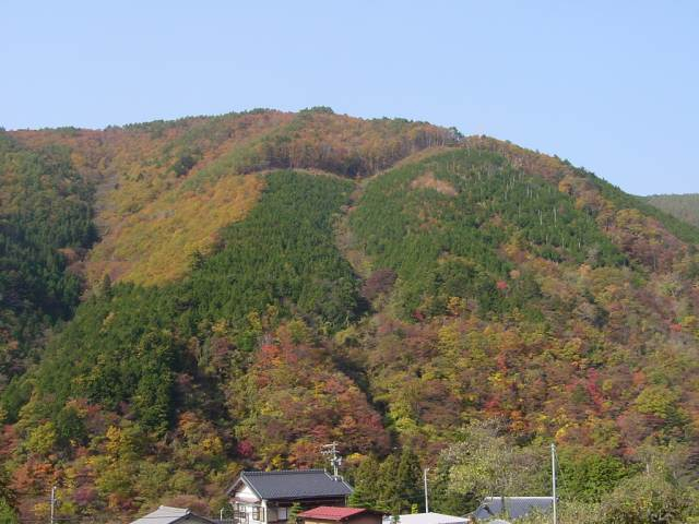 Dsc00245