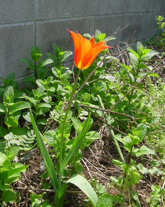 Dsc00253_2