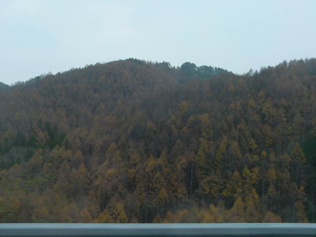 Dsc00254