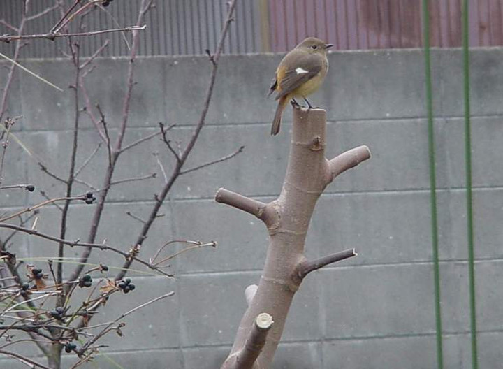 Dsc00292_1