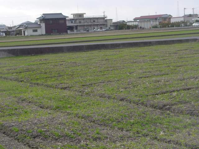 Dsc00294_2
