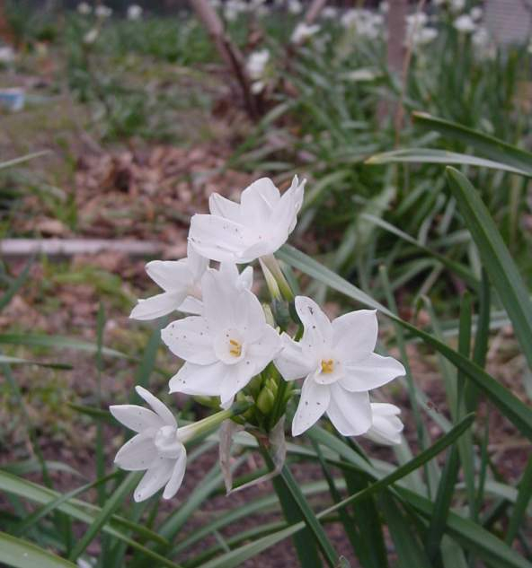 Dsc00301
