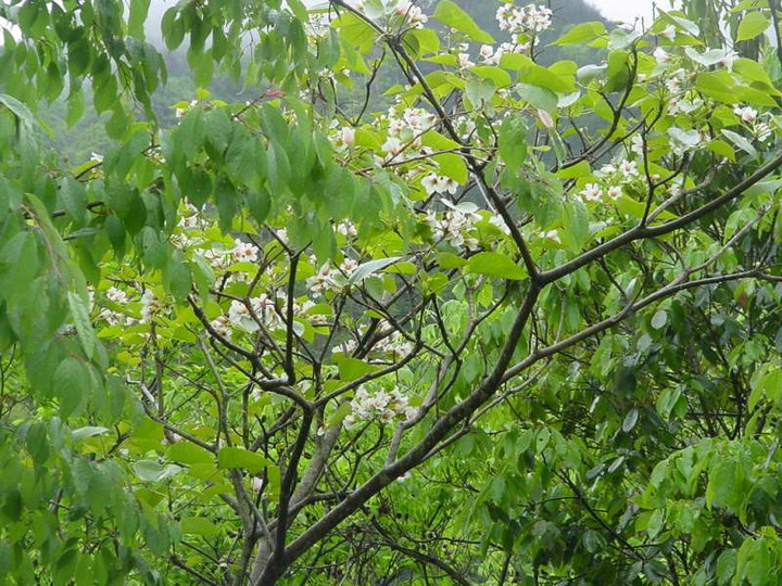 Dsc00301_2