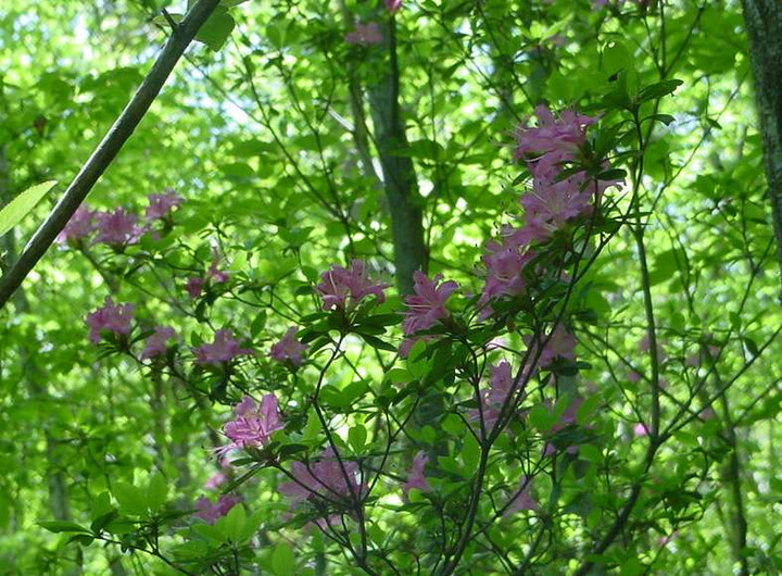 Dsc00302_2
