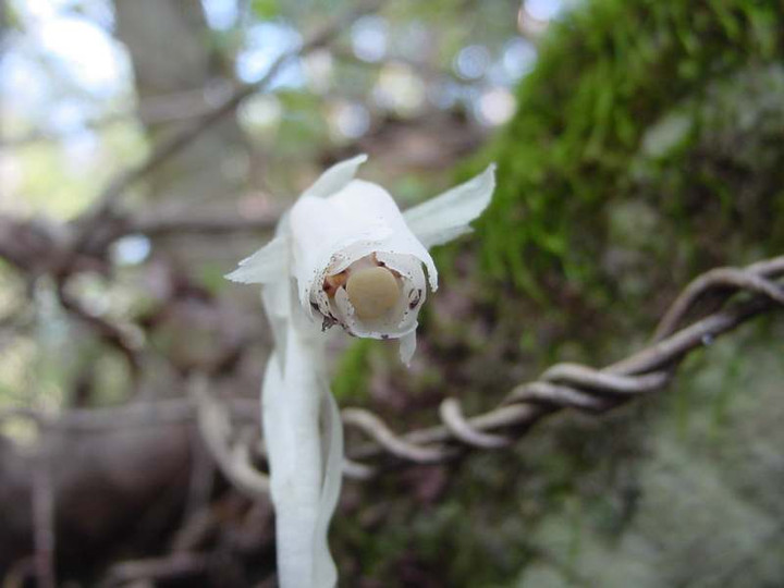 Dsc00302_3