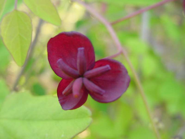 Dsc00304