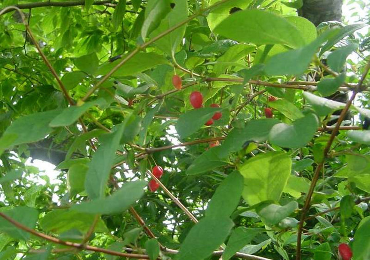 Dsc00306_2