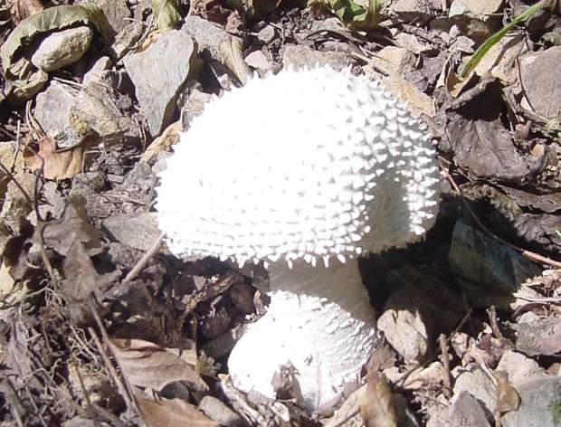 Dsc00309_3