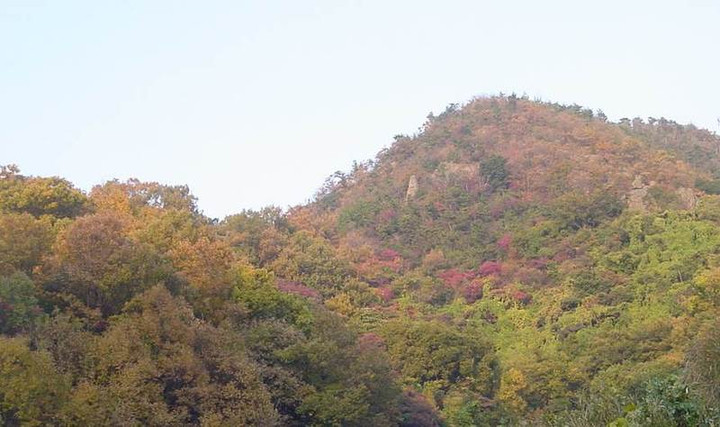 Dsc00310