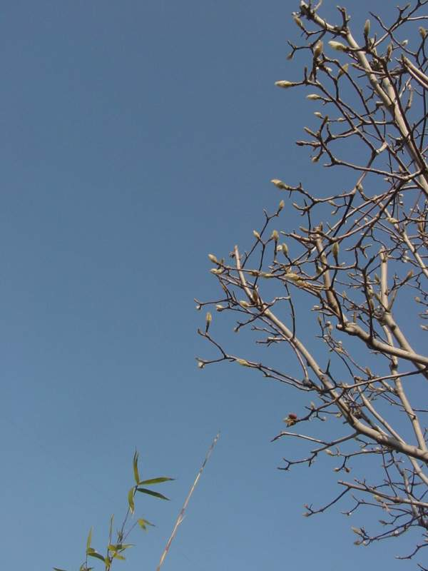 Dsc00311