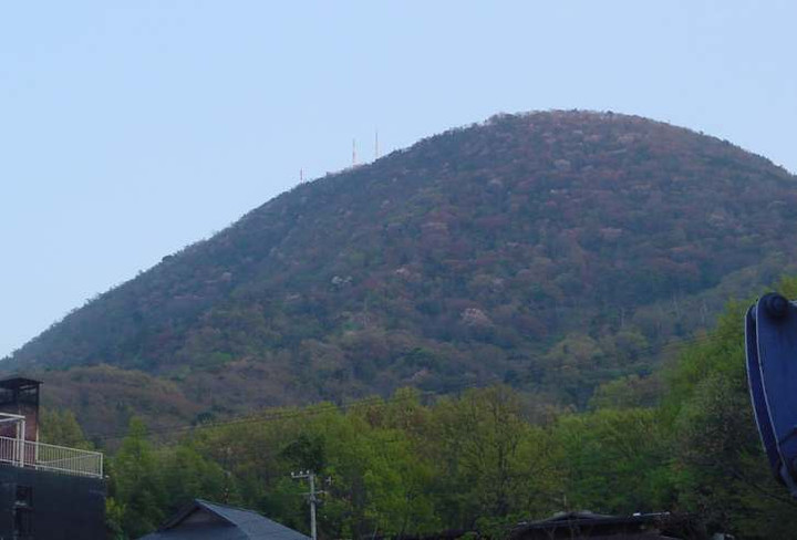 Dsc00313