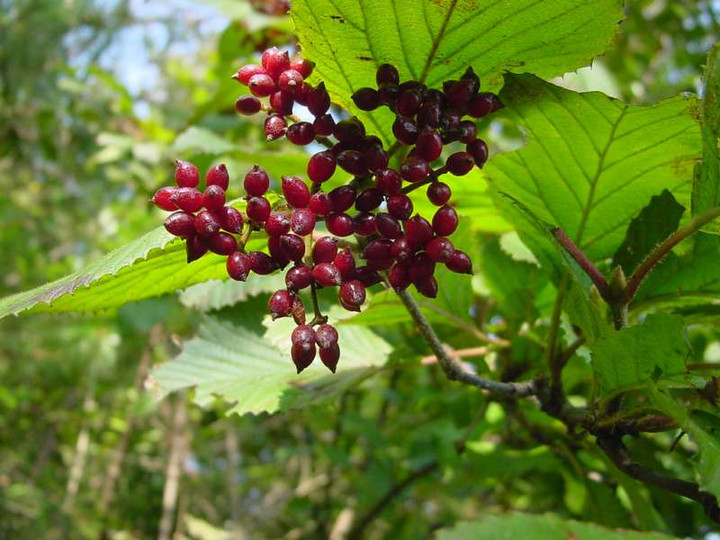 Dsc00315_3