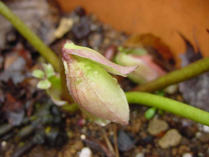 Dsc00320