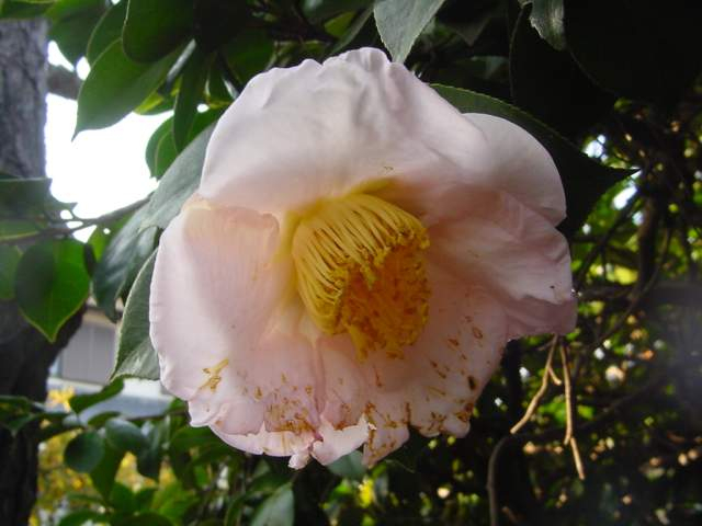 Dsc00322