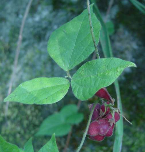 Dsc00326_2
