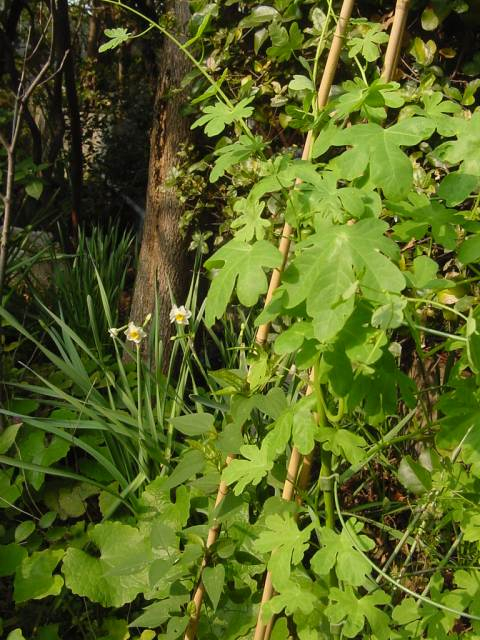 Dsc00346