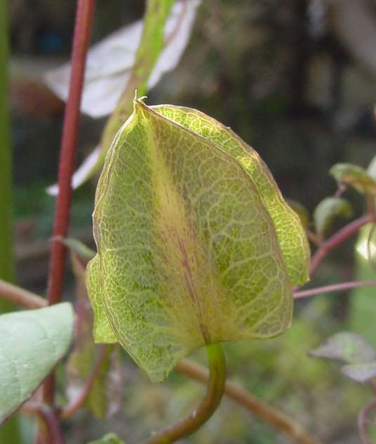 Dsc00358_1